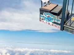 -梦幻奥陶纪景区