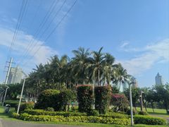 -万绿园