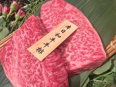 -老乾杯(深圳湾万象城店)