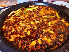 -费明中罗非鱼(大石坝店)