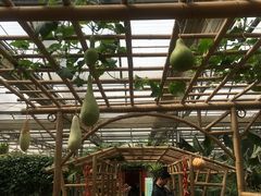 -兰陵国家农业公园