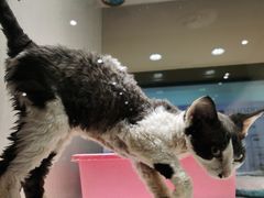 -乐宠宠物店(世纪金源店)