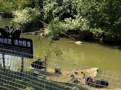 -南阳卧龙岗武侯祠