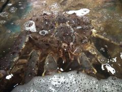 -蟹之国·精品蟹料理(极地店)