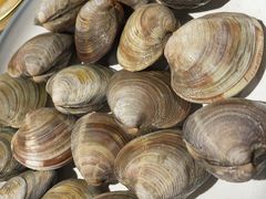 -火叮叮自助烤肉·现切牛肉(茂业店)