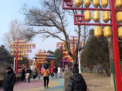 -青龙湖公园