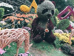 -杭州植物园