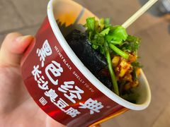 -黑色经典臭豆腐·湖南特产(步行街店)