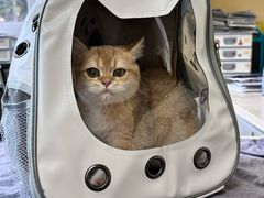 -动物缘宠物医院·骨科·猫科(西二环店)