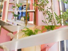 -凤记雪花酪(万达金街店)
