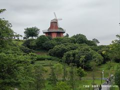 -东莞植物园