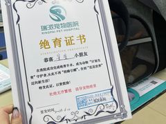 -瑞派动物医院·猫专科·至诚(江南中分院)