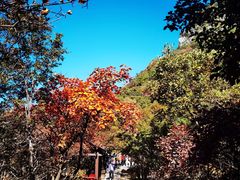 -云台山风景名胜区