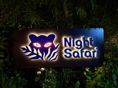 -夜间野生动物园