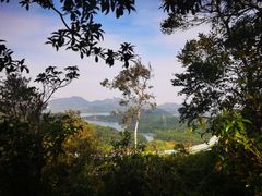 -深圳仙湖植物园