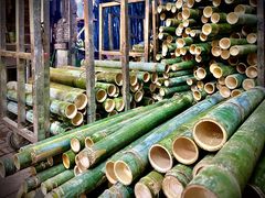 -丰依竹食·老牌竹筒饭