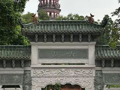 -顺峰山公园