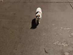 -长安大学(北校区)