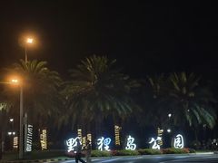 -野狸岛