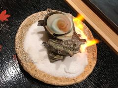-橼舍鮨青木