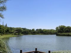 -长广溪湿地公园