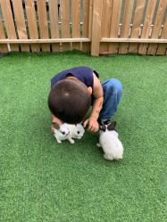 -萌宠亲子动物乐园(槐房万达店)