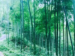 -天下银坑