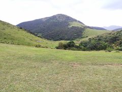 -大姆山草场
