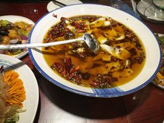-邵年鸽(杨庄店)