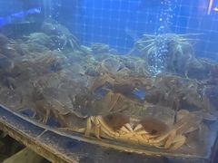 -福禧荟·海鲜自助