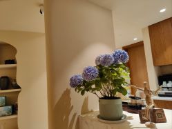 -阿南达·瑜伽普拉提·阿育吠陀疗愈中心