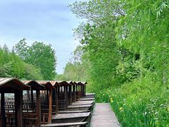 -溱湖国家湿地公园