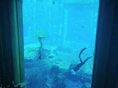 -亚龙湾海底世界