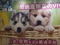 -FAELING PETS美天灵宠物(富力广场店)