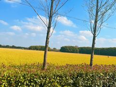 -嘉北郊野公园