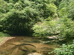 -碧峰峡风景区