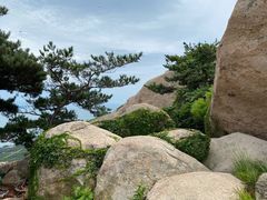 -崂山仰口游览区