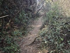 -青龙山国家森林公园