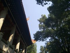 -南岳衡山风景名胜区-南岳大庙