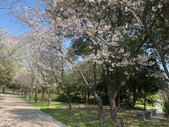 -蠡湖大桥公园