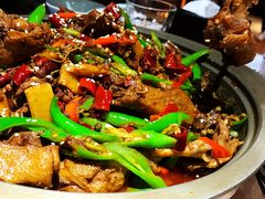 -猫头婴小酒馆FUN OWL(1912店)