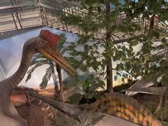 -湖南省地质博物馆