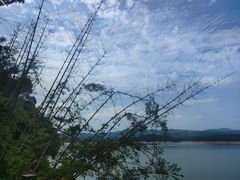 -广州市流溪河国家森林公园