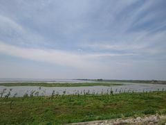 -湖南东洞庭湖国家级自然保护区