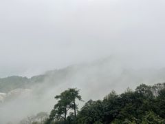 -缙云山景区