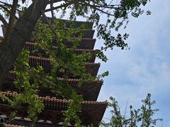 -牛首山文化旅游区