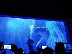 -多彩贵州城极地海洋世界