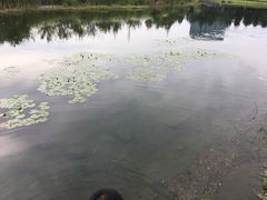 -同济大学(嘉定校区)