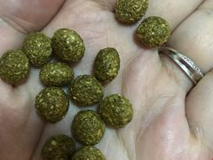 -雨林宠物医院 非犬猫异宠专科