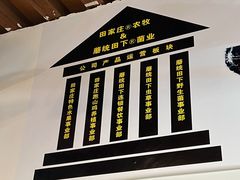 -蘑统田下·野生菌火锅